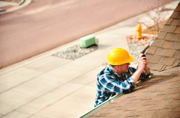 Best Roof Gutter Cleaning  in Sun Village, CA